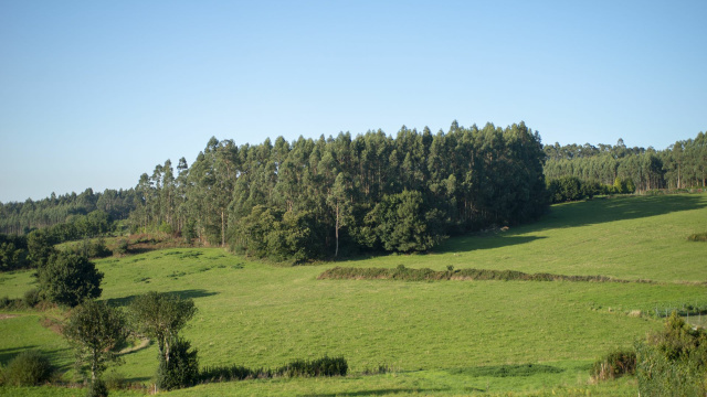 Castro de Crecente